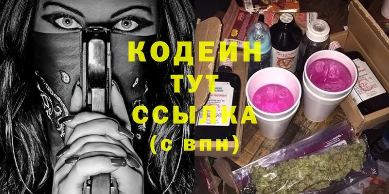 купить закладку  Камышин  Кодеин Purple Drank 